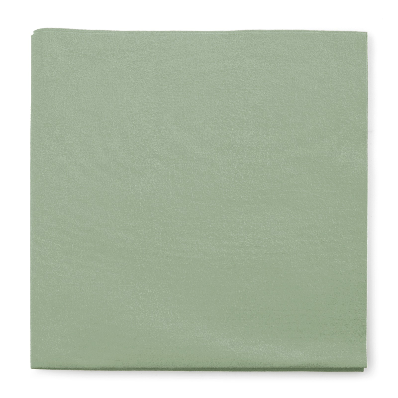 EVERLY zelena krpa (40 x 40), 5kom