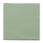 EVERLY zelena krpa (40 x 40), 5kom
