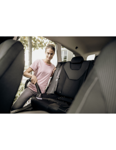 Komplet za unutrašnje čišćenje automobila DN 35