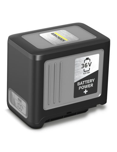 Litijum-jonska baterija, 36V - 6,0Ah (PROFY)